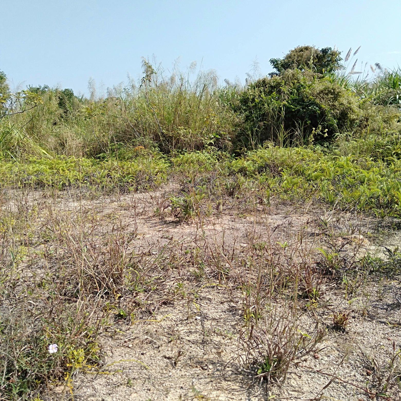 惠阳淡水空置土地招租证件齐全工业用地可办环评可分租1