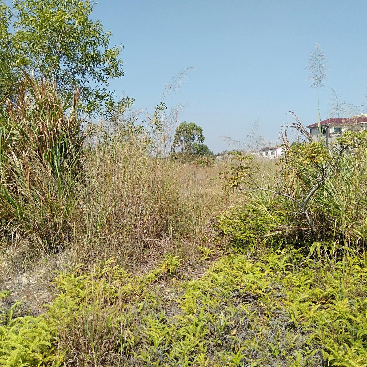 惠阳淡水空置土地招租证件齐全工业用地可办环评可分租4