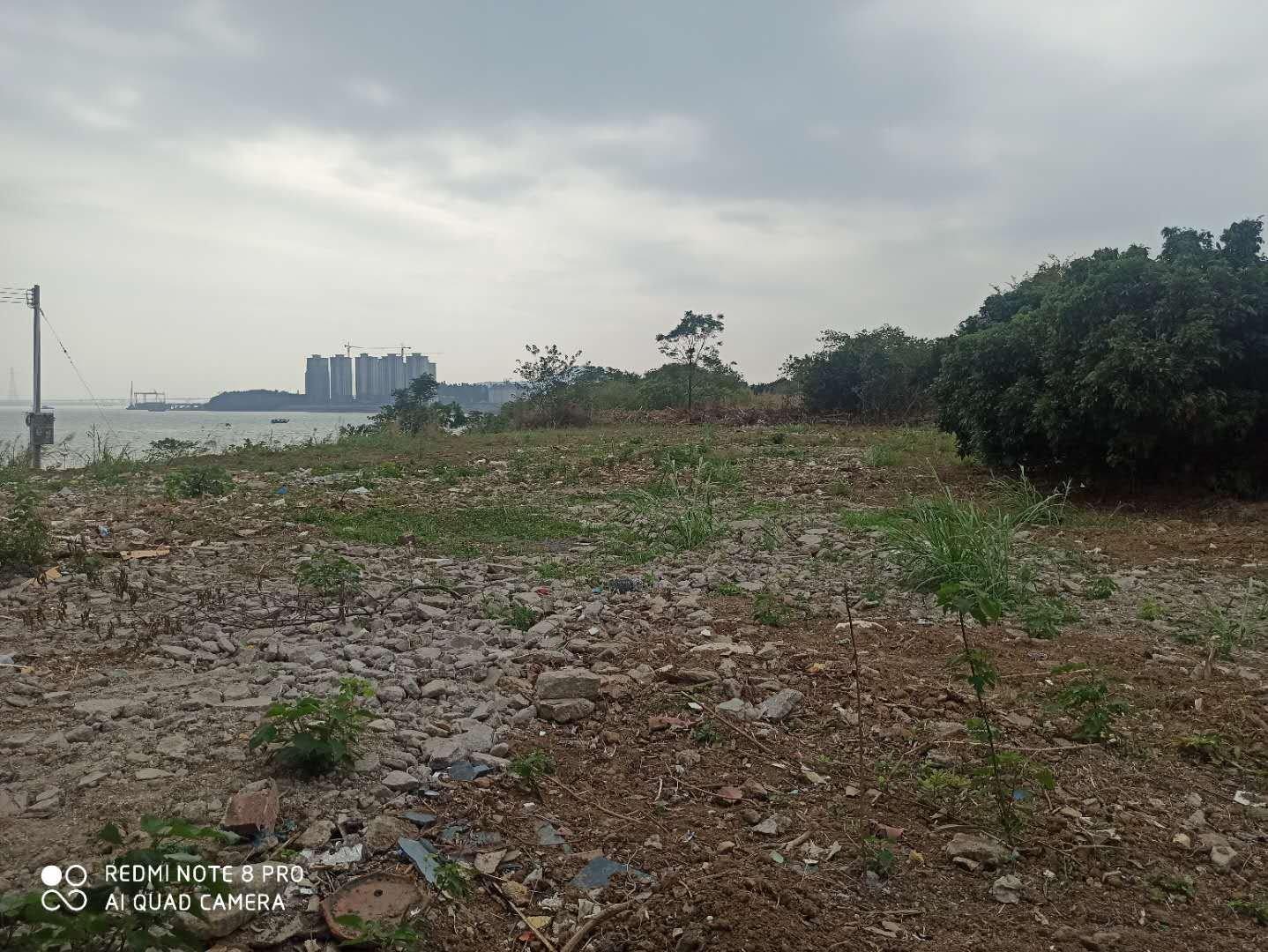 高明区荷城街道富湾土地出租，可堆放1