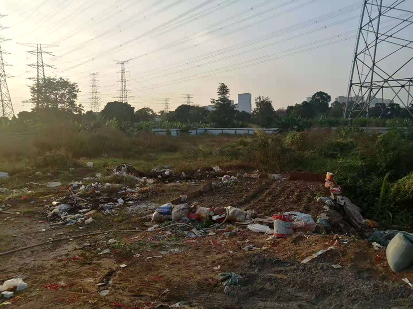 出租道滘12亩空地，交通方便1