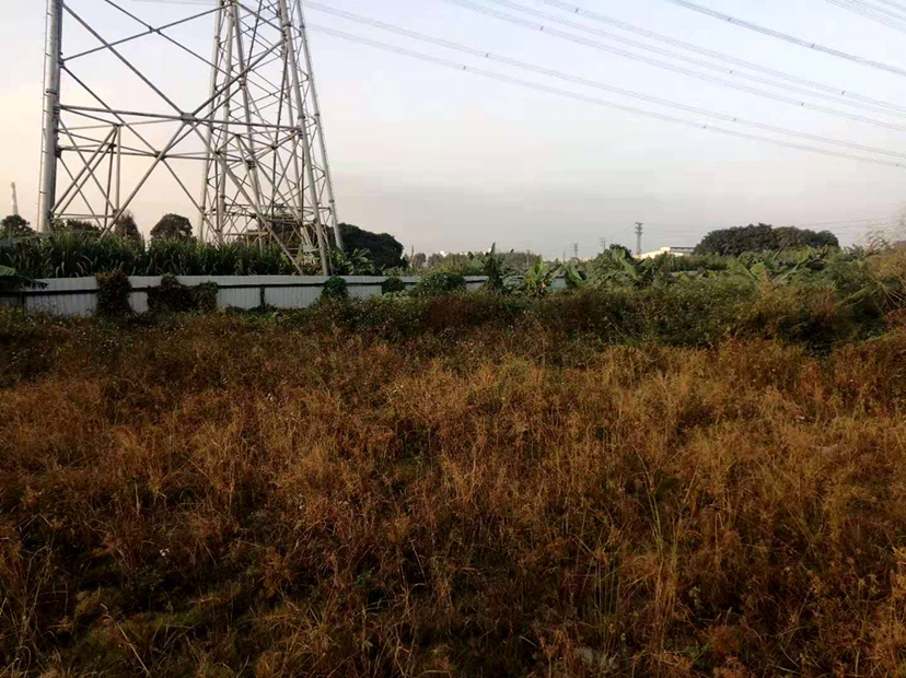 出租道滘12亩空地，交通方便3