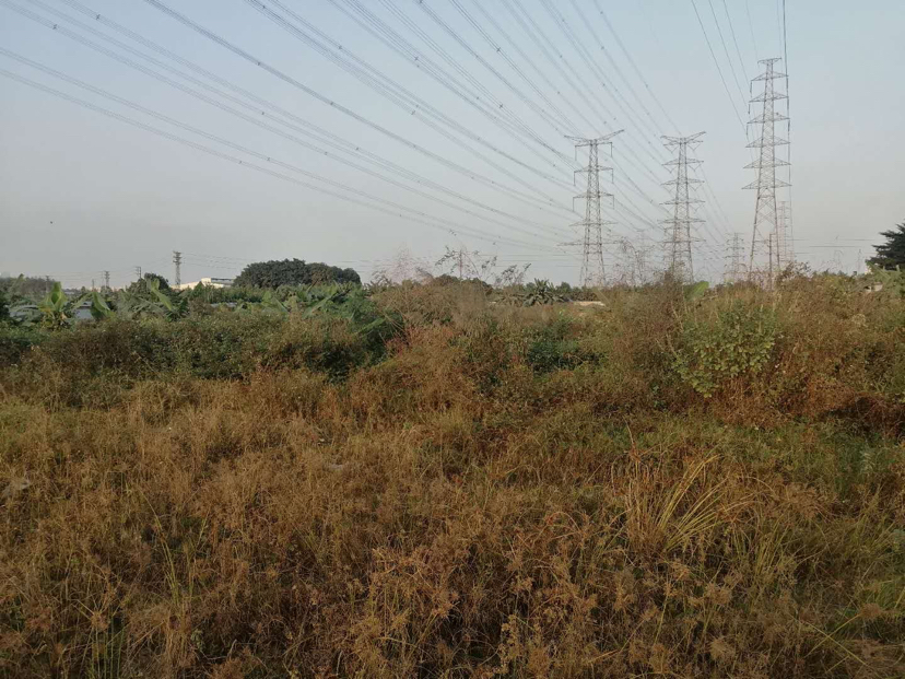 出租道滘12亩空地，交通方便2