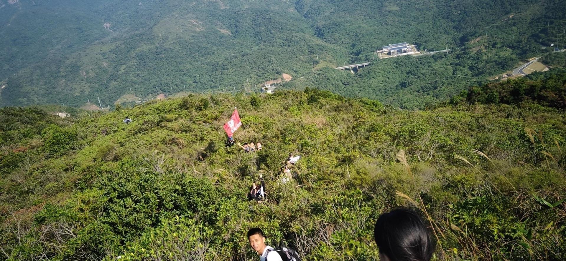 广东河源国有土地出售60亩，三平一通，可分割1