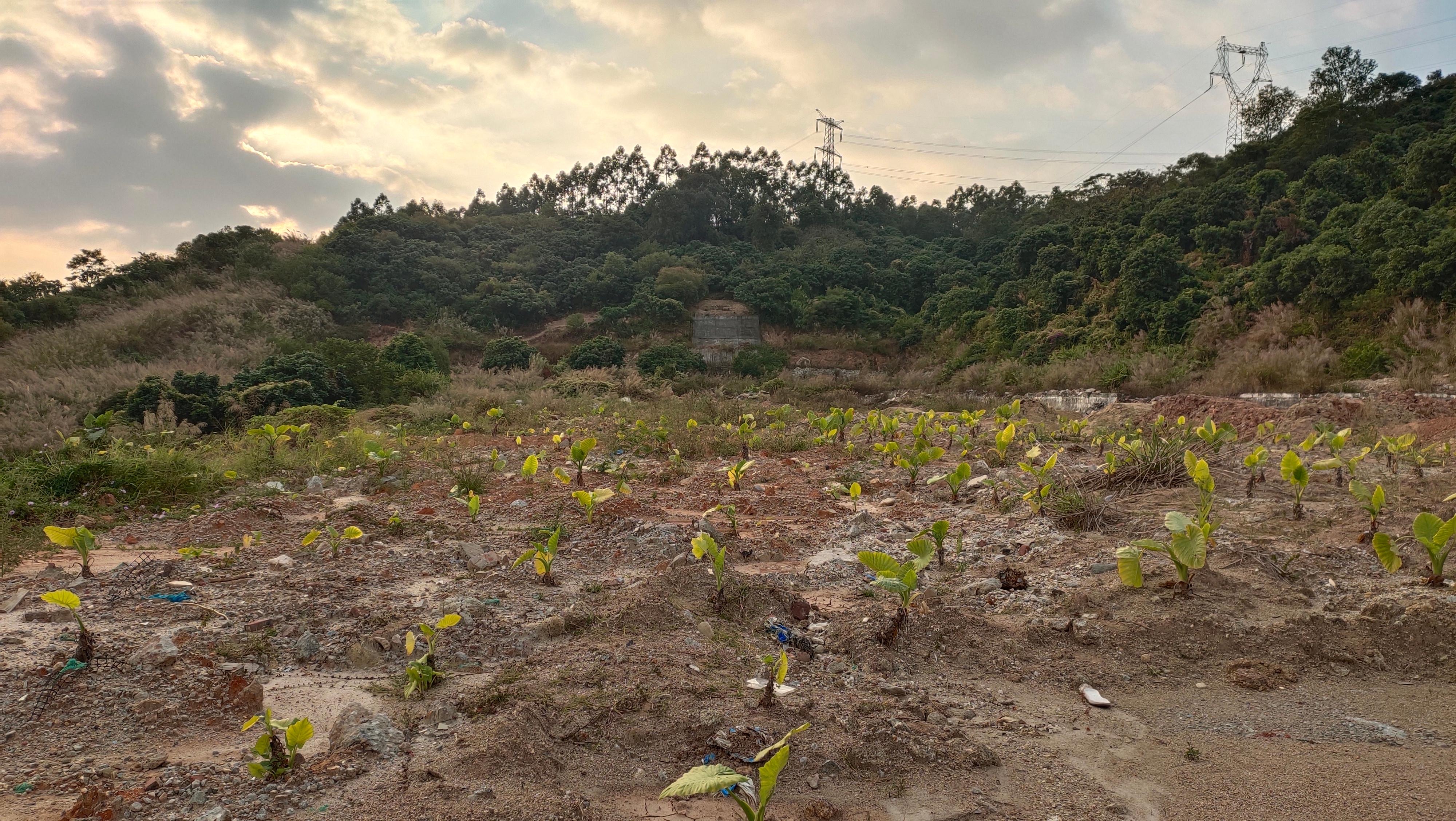 广州市增城区石滩镇250亩工业用地打包出租手续齐全可以报建5