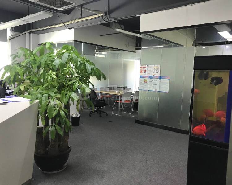 龙华深圳北附近新出精装修办公室218平，物业直租