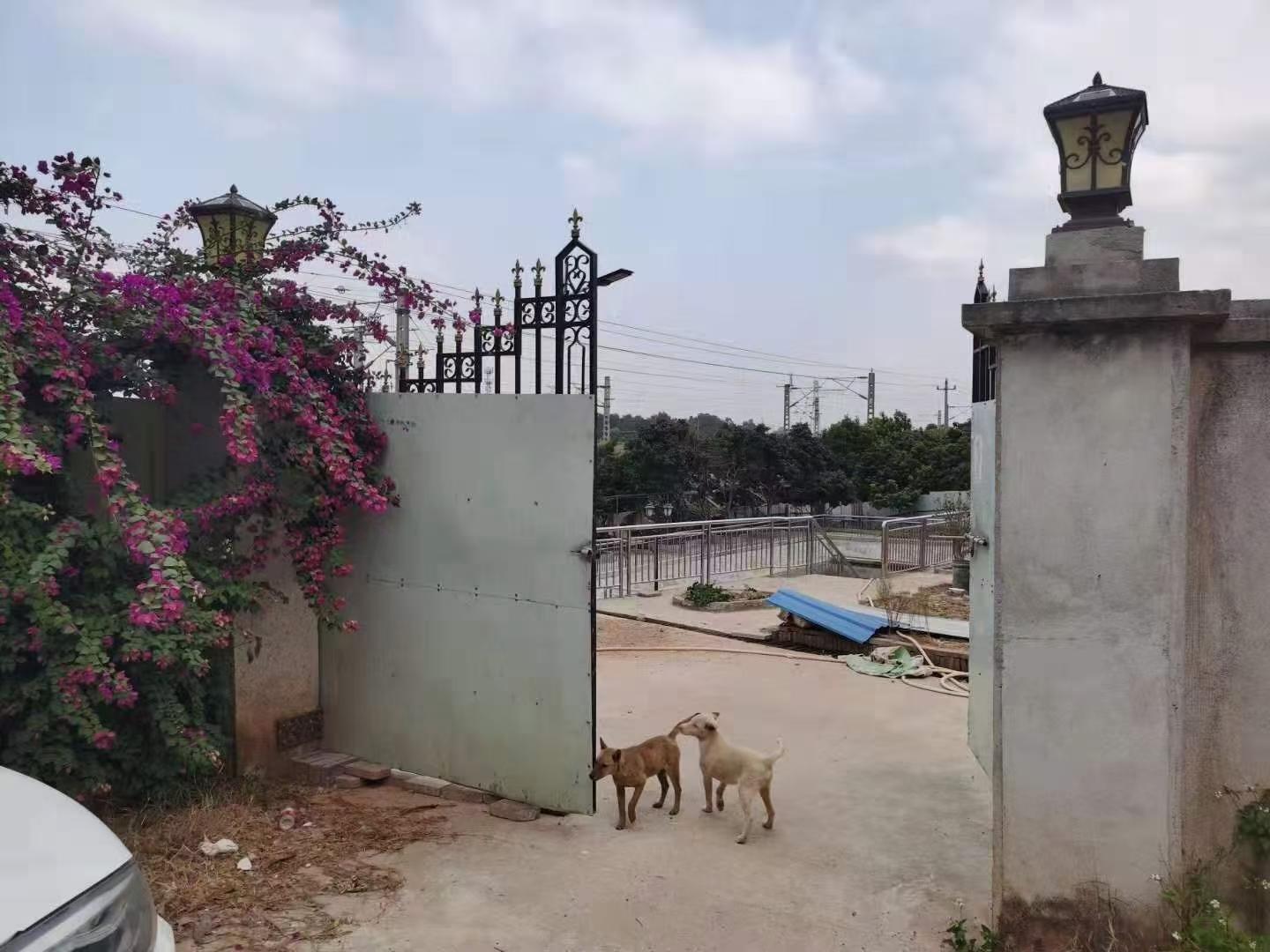 农庄鱼塘，休闲娱乐场地2