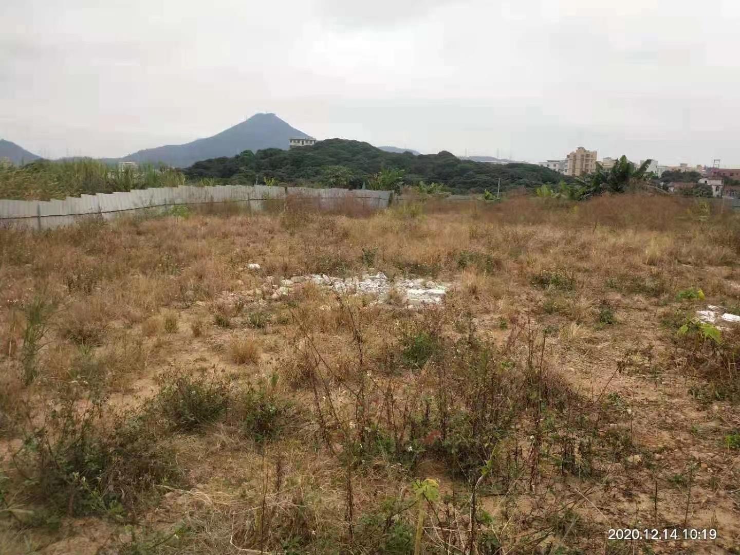 大岭山新出3500平方土地一手资源正规工业土地可定建1