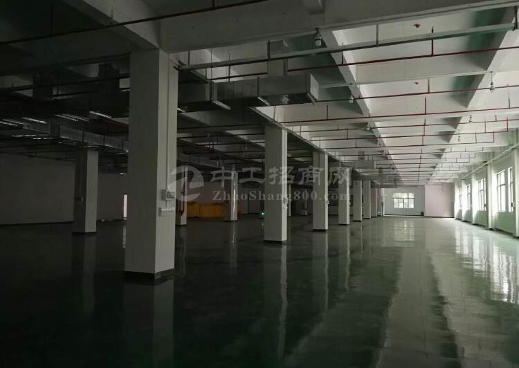 广州国有标准厂房出售占地40亩国有红本厂房近主干道边3