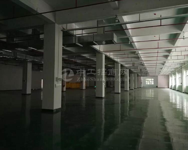 广州国有标准厂房出售占地40亩国有红本厂房近主干道边