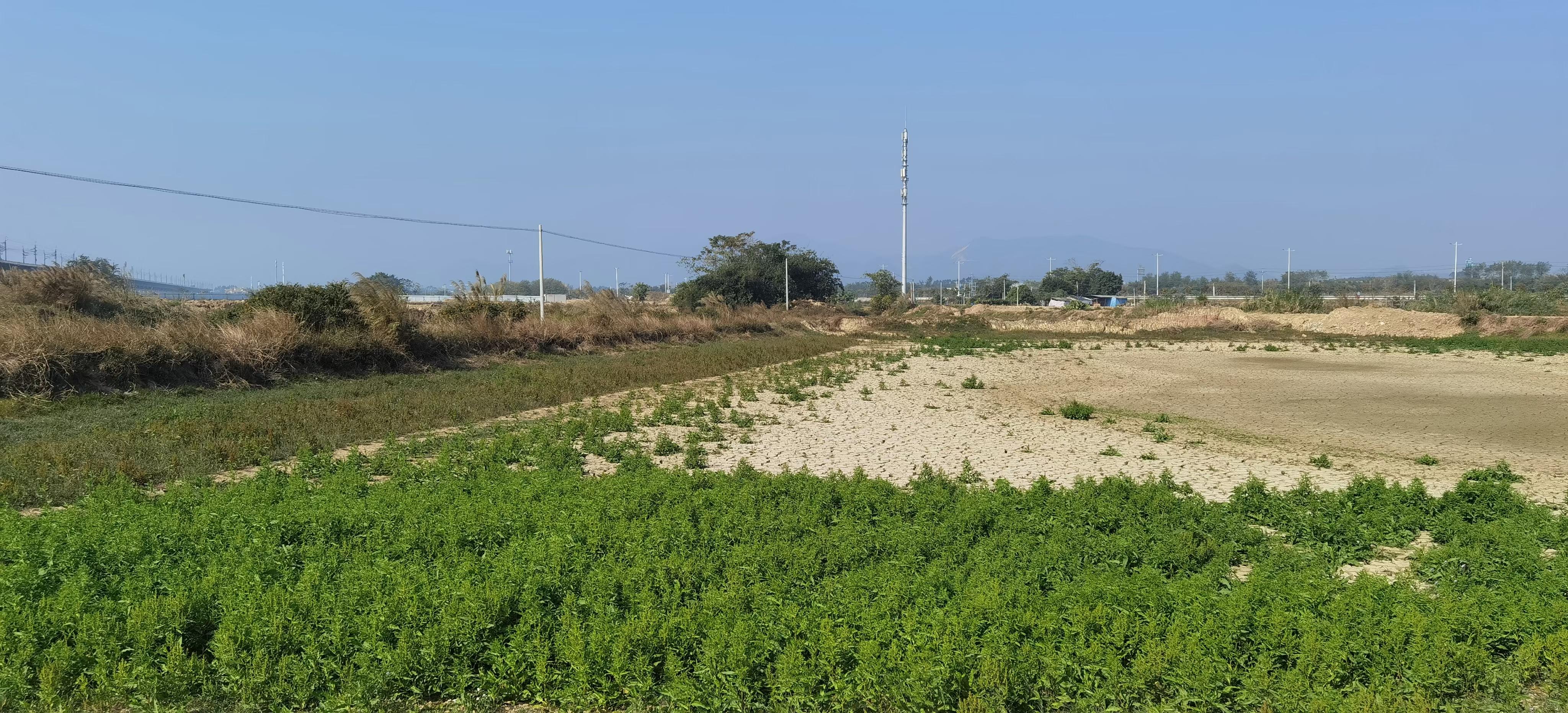 大量工业土地出售
可以分割可以办房产证
已达三通1