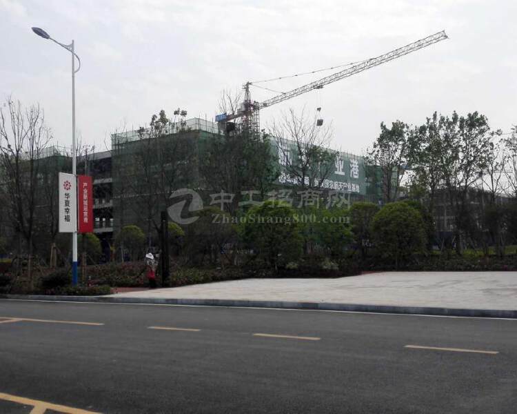 湖北省武汉市新洲区50亩一手土地出售，证件齐全，有红本