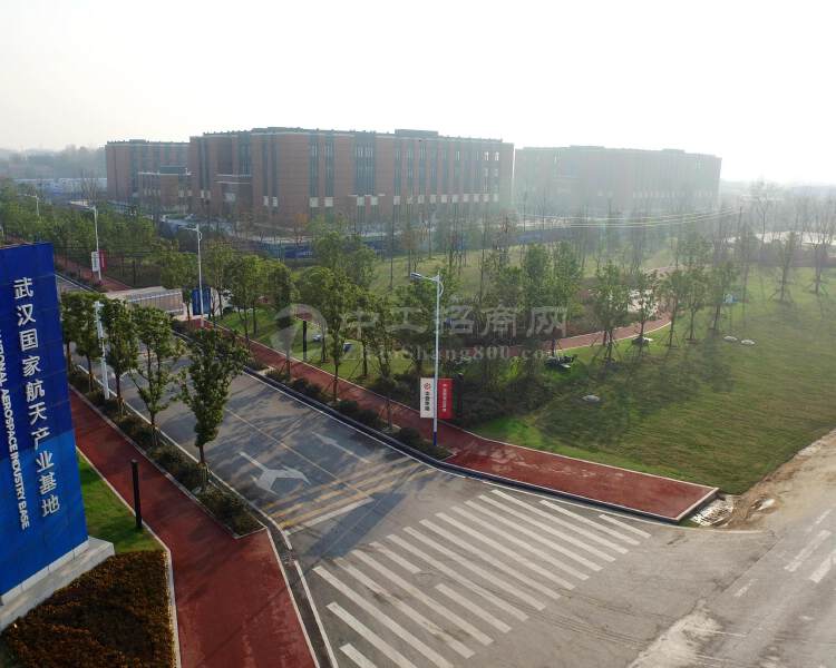 武汉长江新城国有工业土地102亩出售