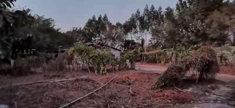 三水大塘惊现小独院地块，有搭棚，好进车，国道旁4