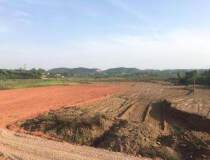 河南省洛阳市出售50亩国有土地手续齐全国家扶持带红本可定建