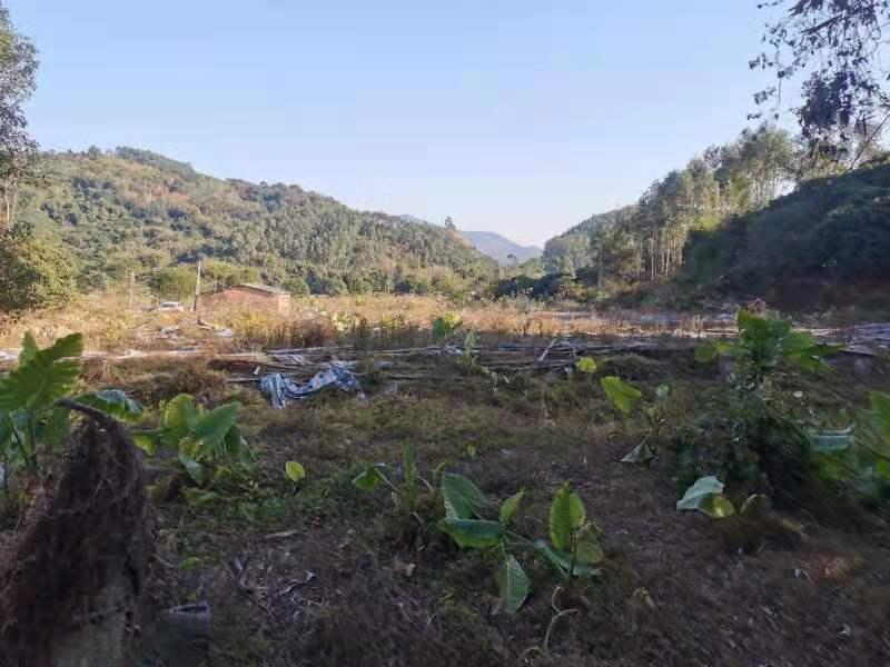 福田原房东80亩空地便宜出租1