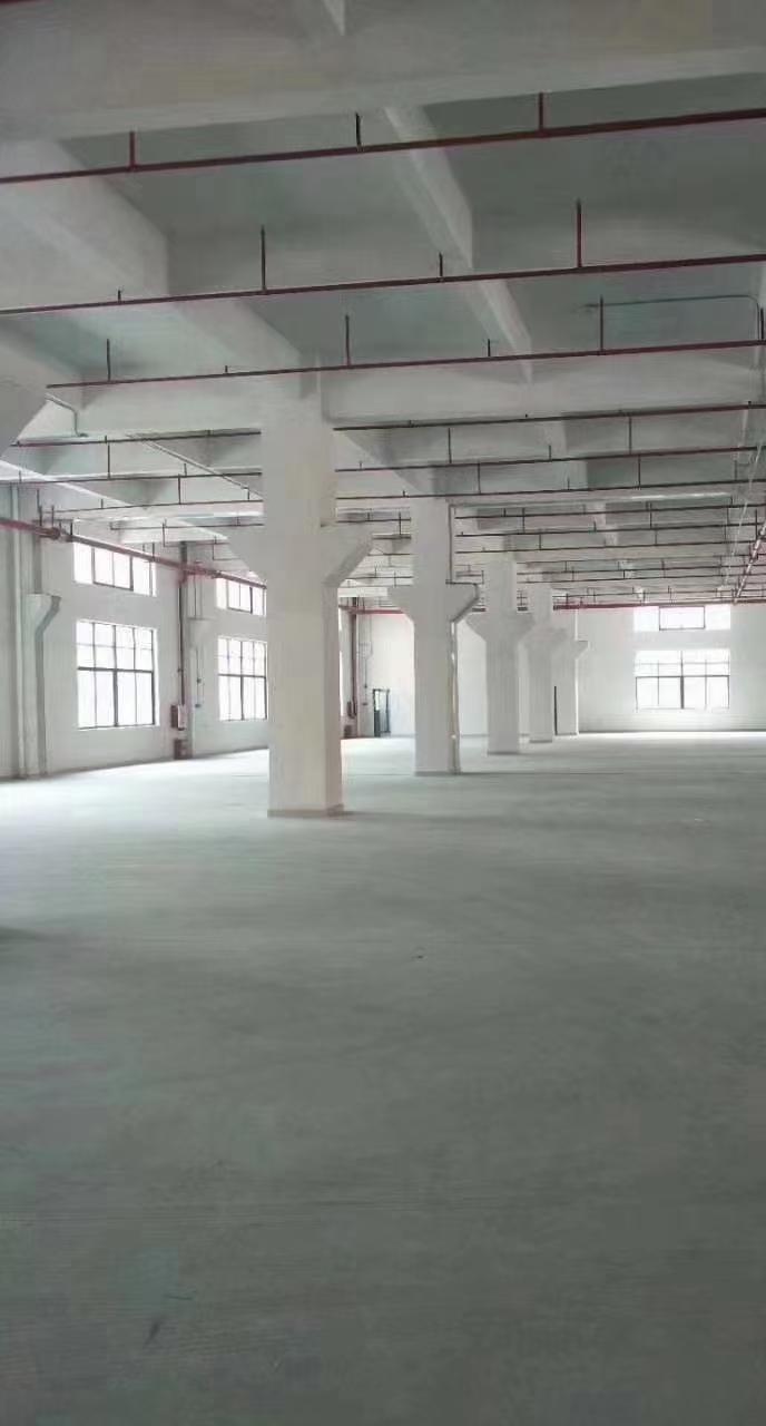 惠阳大亚湾新出工业区内带牛角标准一楼厂房仓库出租