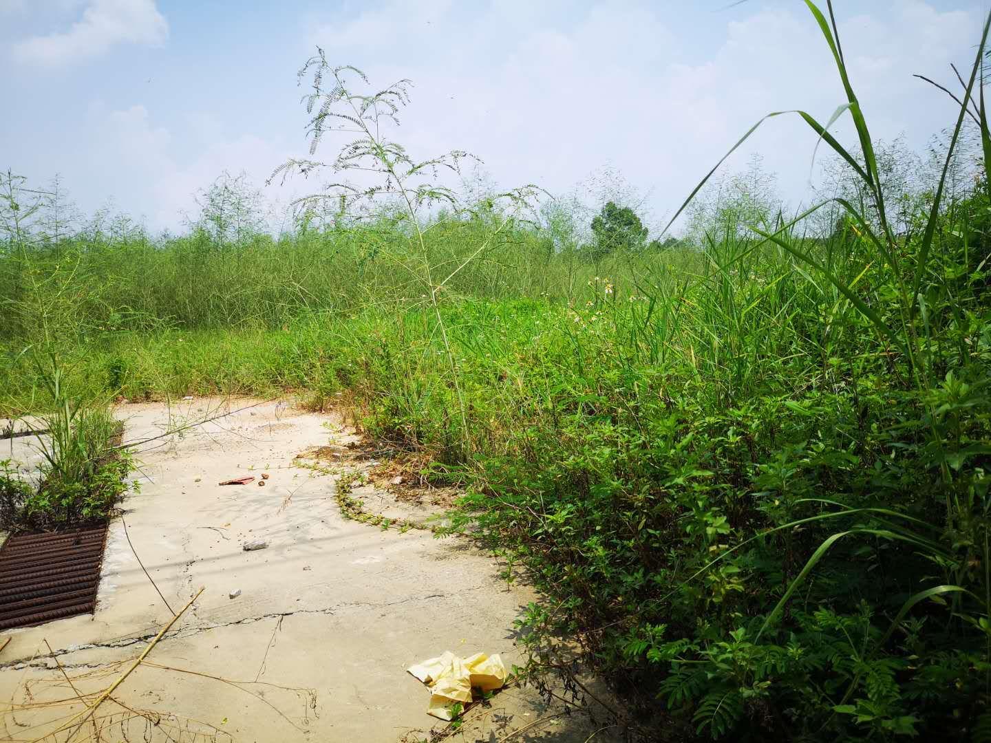 花东镇个人土地，出售，证件齐全，手续齐全1