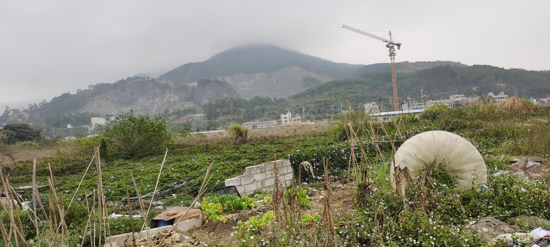 惠东县白花地皮出售证件齐全，1