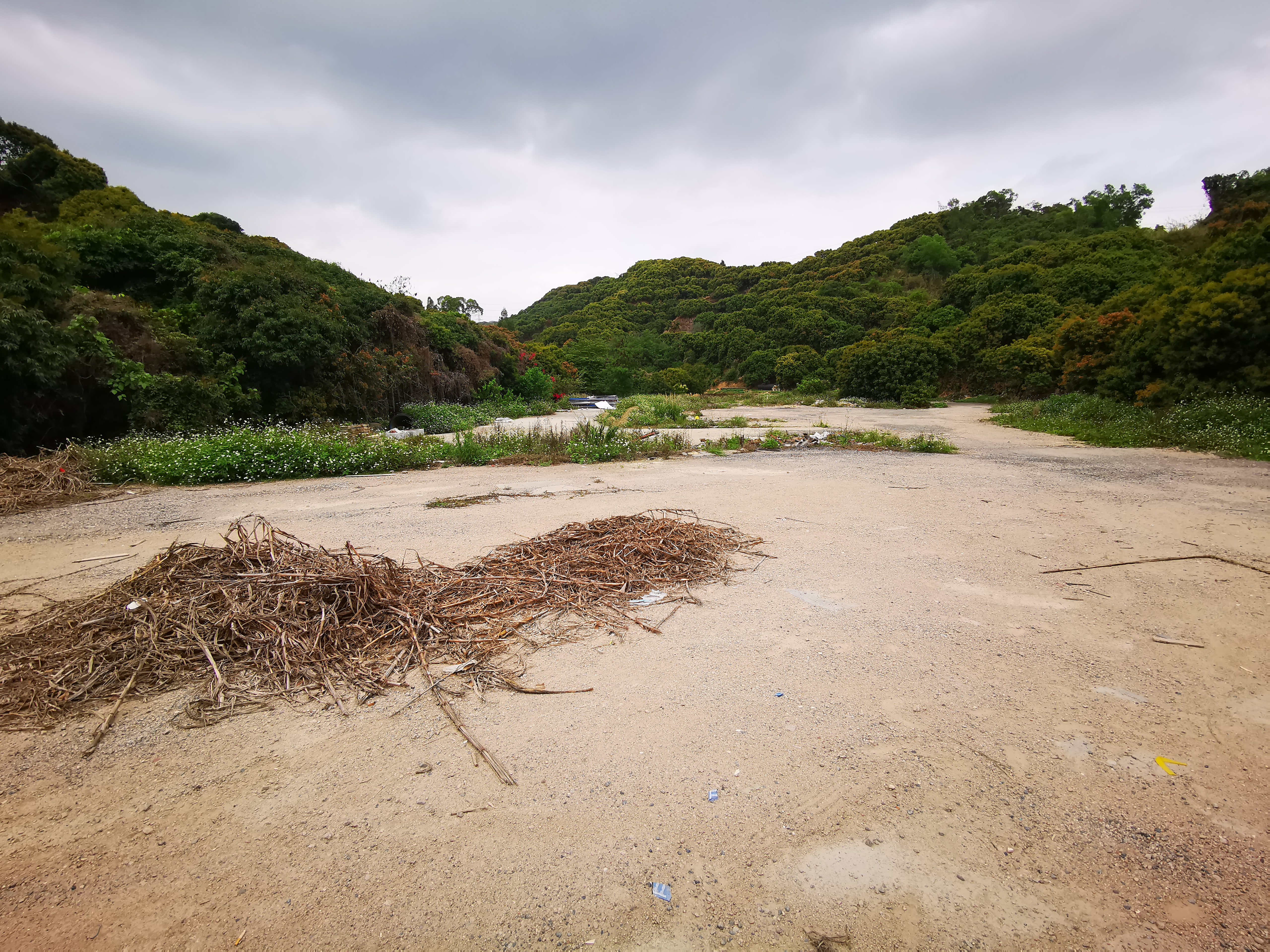 西丽大磡一手土地出租3000平行业无限制够偏僻价格实惠3