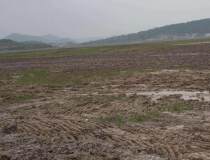 湖北黄冈占地50亩国有指标红本地皮出售，手续齐全