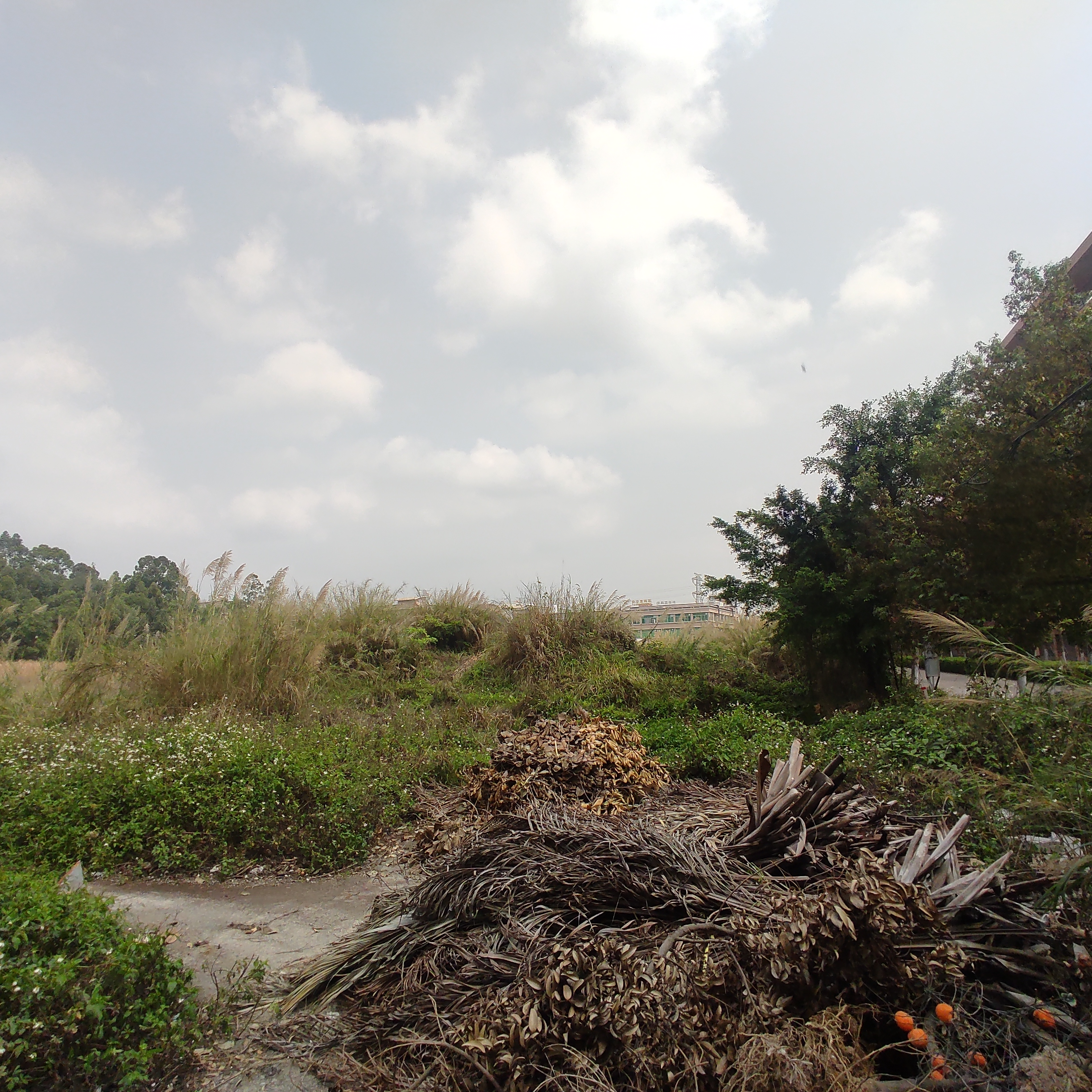 广州番禺区产权可定建土地3