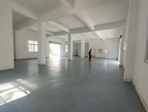惠东白花新出厂房占地面积15000平方米大小可以分租