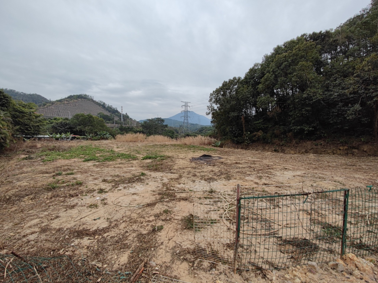 惠州25亩林地出租适合苗圃种植采摘等合同15年4