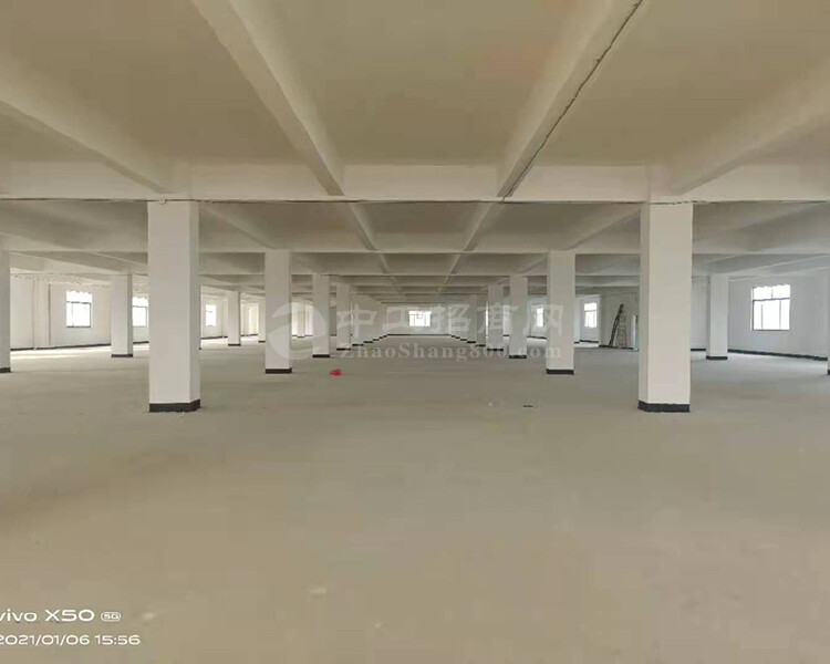 江门市蓬江区占地22.35亩建筑约2万5方国有双证出售