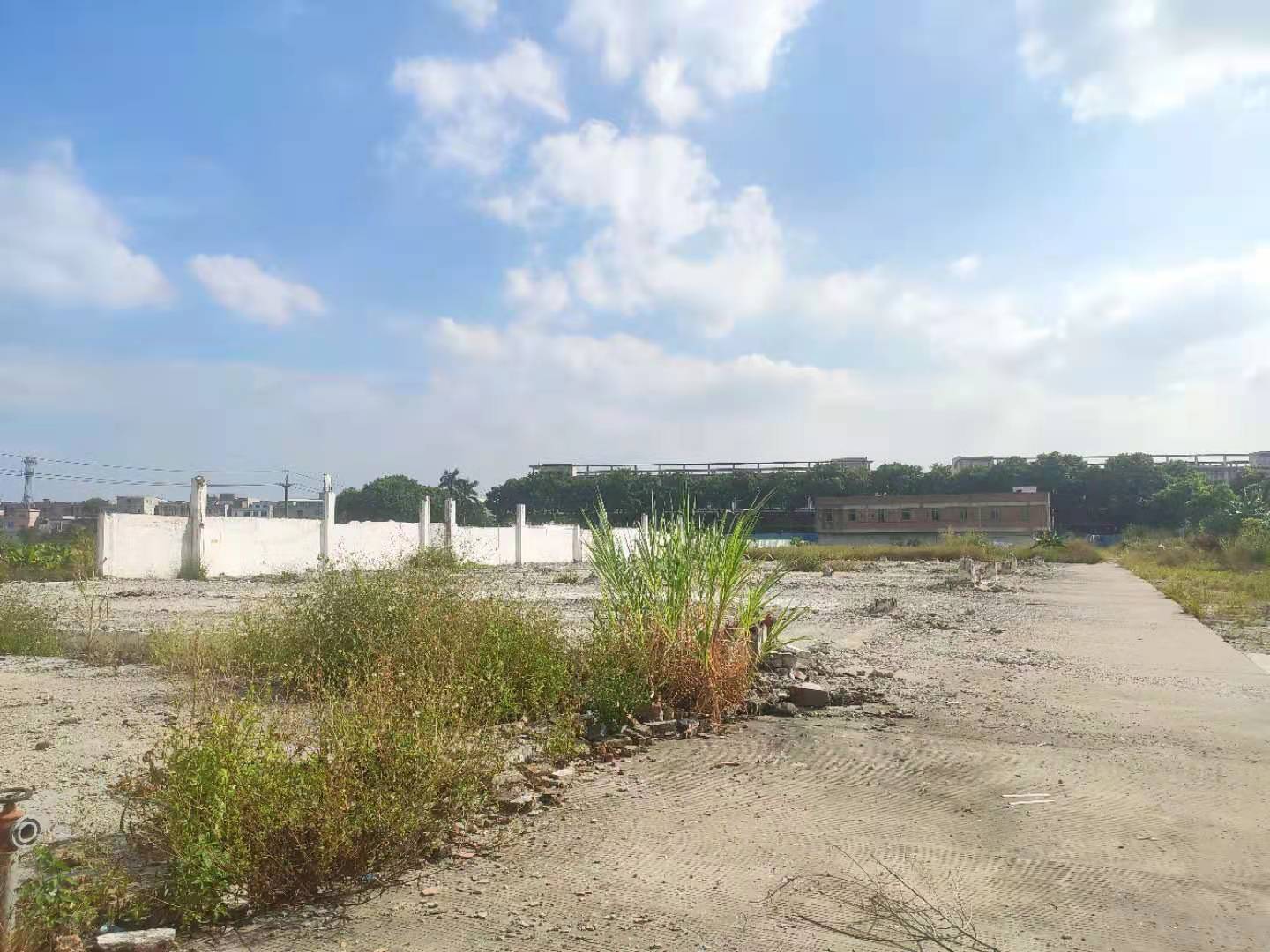 黄埔区荔联街道新出空地4000方3