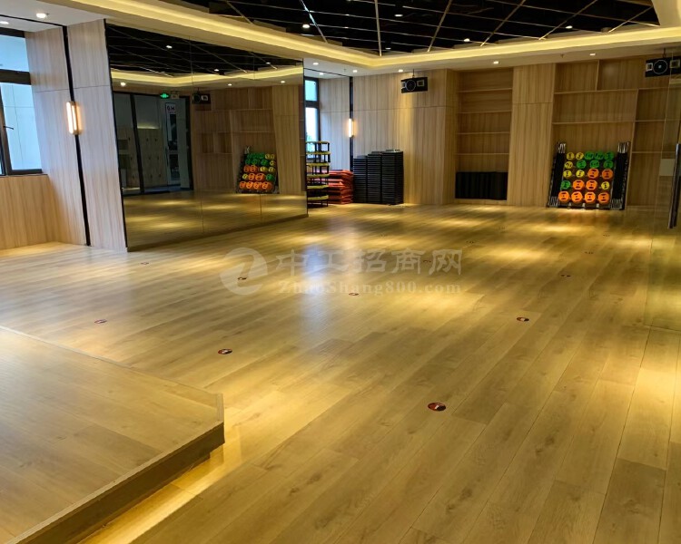 深圳龙华高端写字楼办公室健身房展厅棋牌室私人会所出租1480