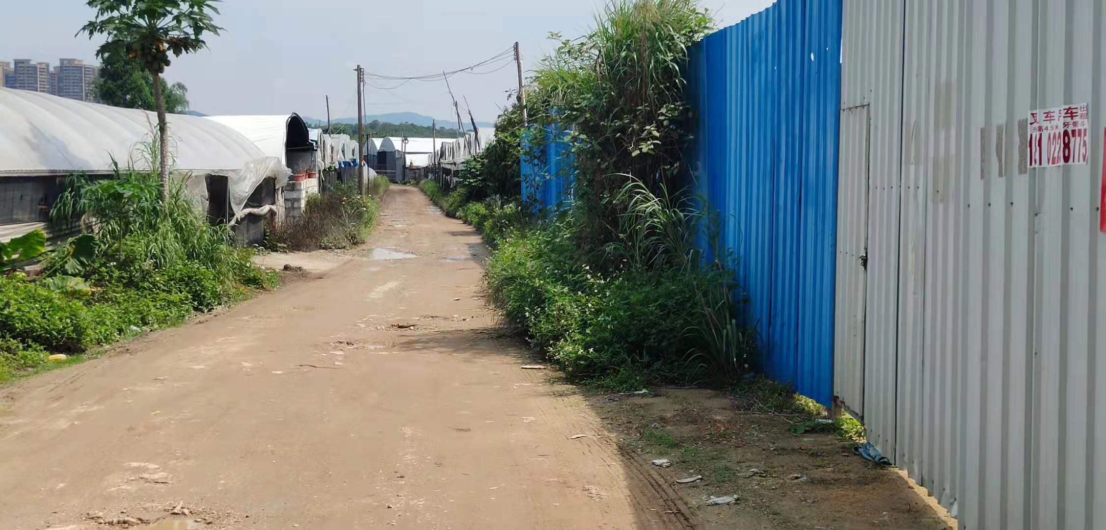 花都区花山镇3000平空地带铁皮围墙，带小院子1