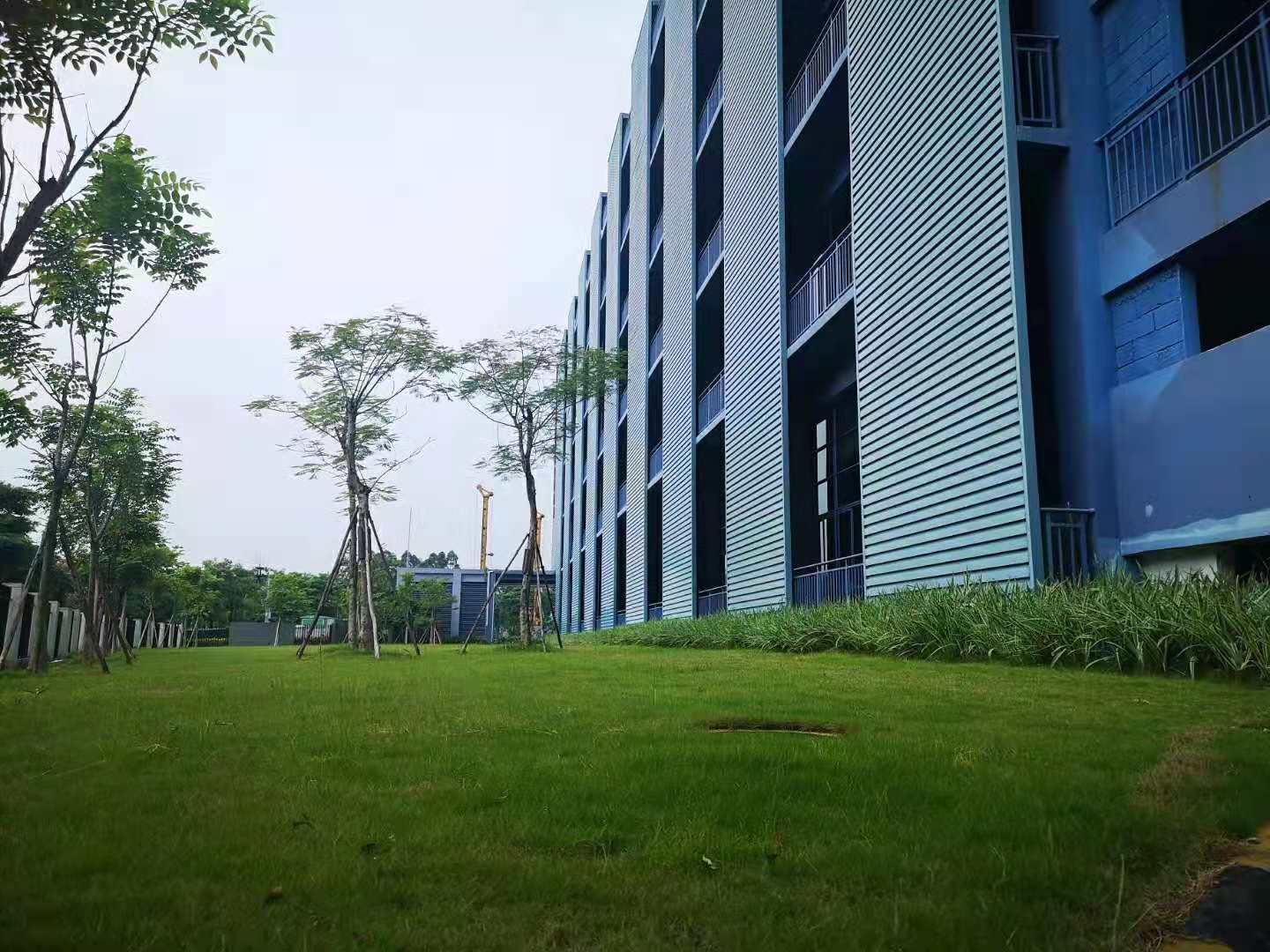 黄埔科学城国家级孵化园区258方精装办公室招租，有高新补贴1