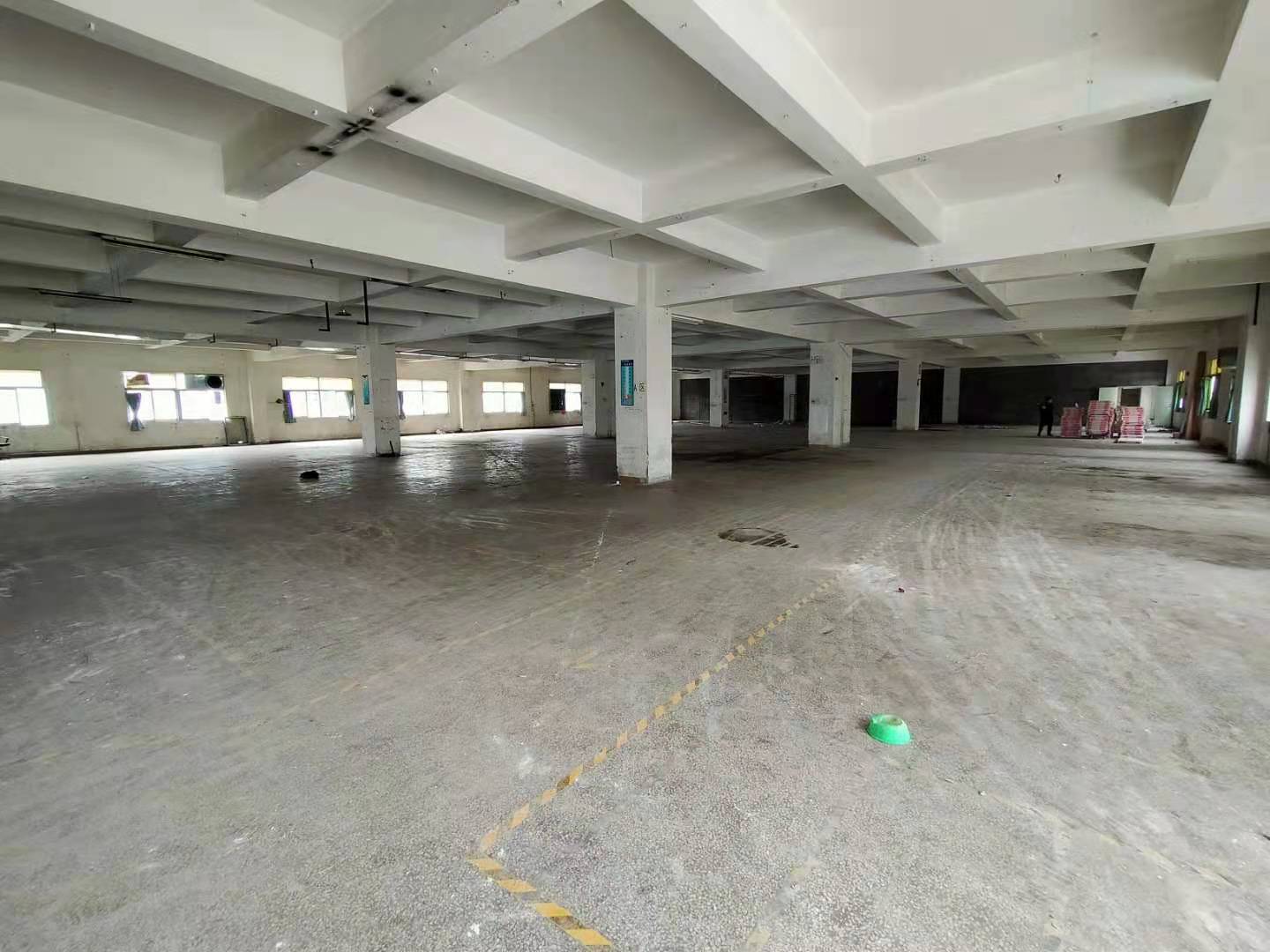 中堂镇新出原房东厂房仓库出租，面积2500平，大小可以分租。