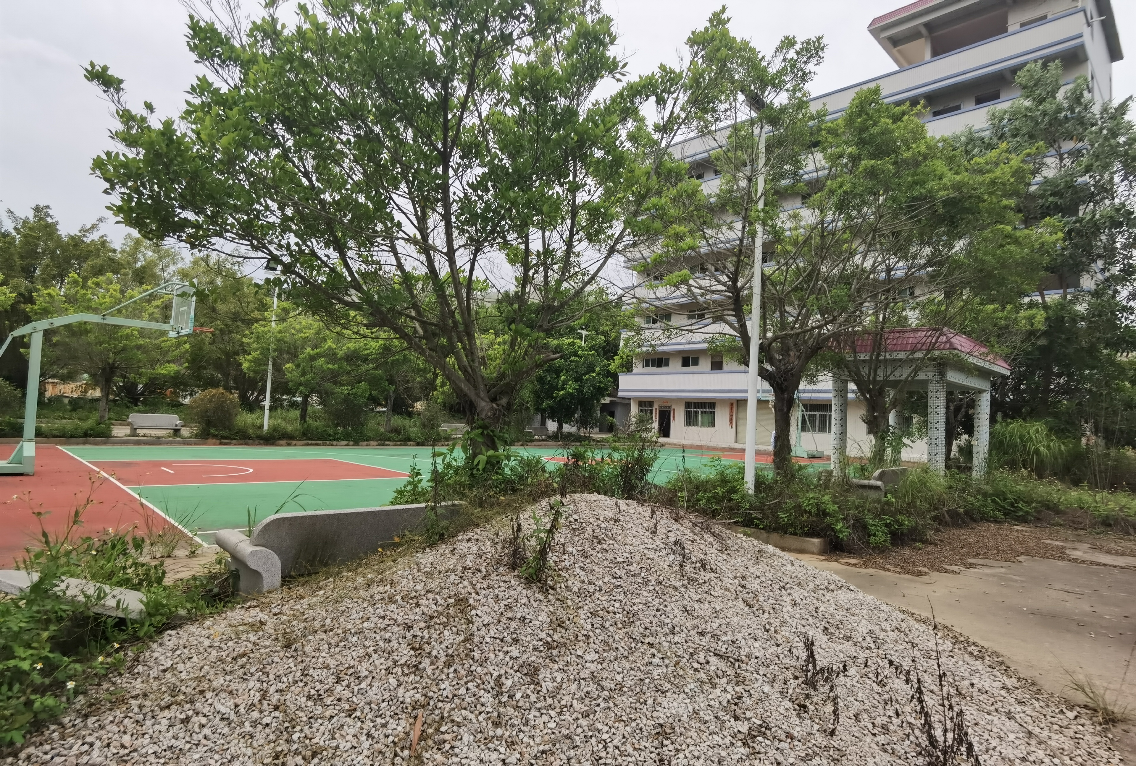 凤岗镇靠山40000平土地行业不限国道附近国有土地出租3