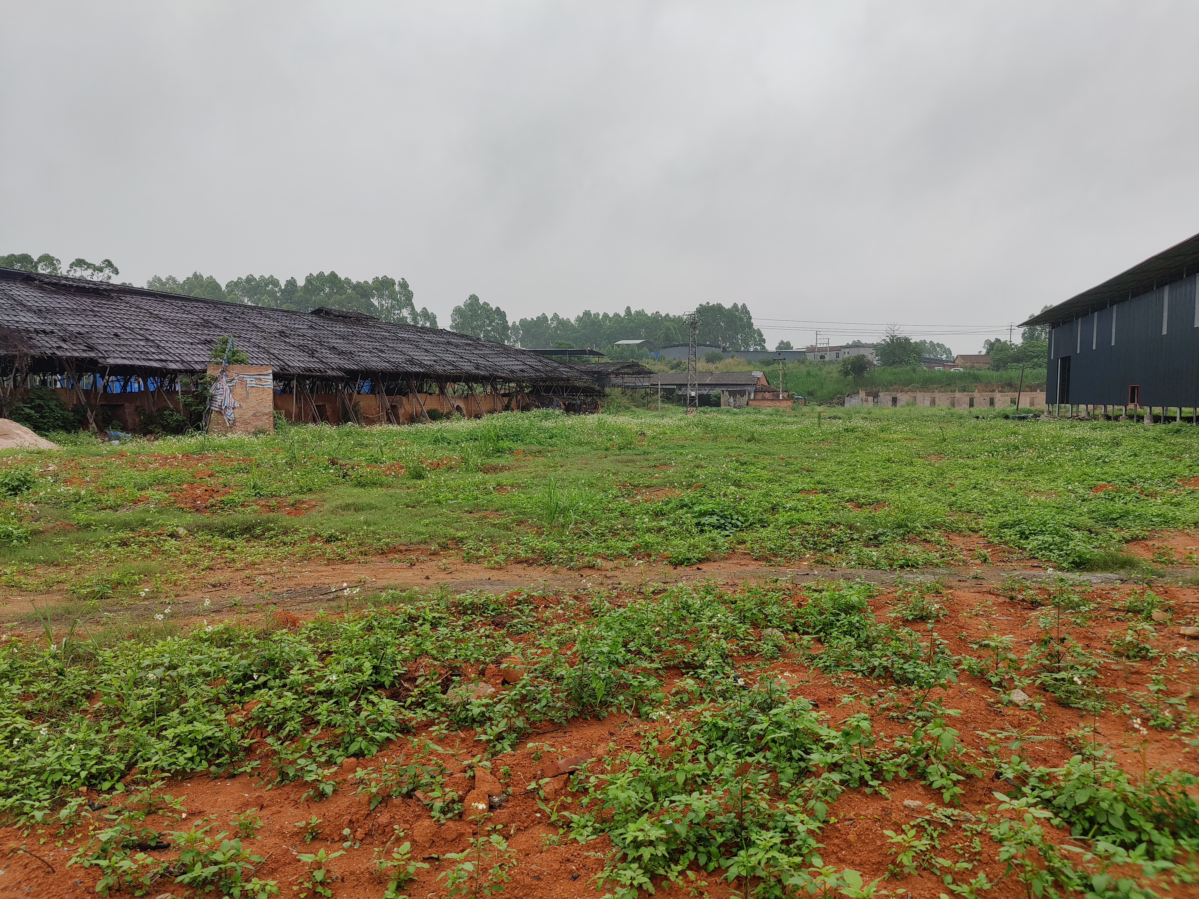 石角镇建设用地毛地出租一手土地个人土地1