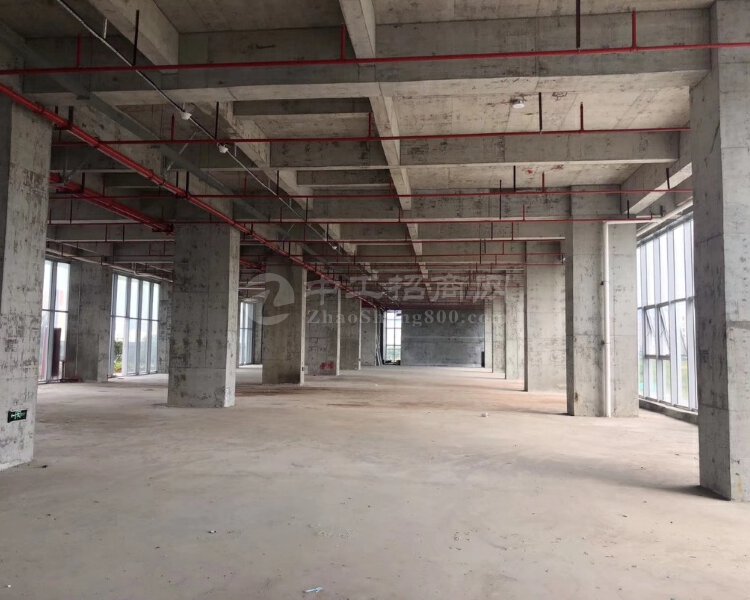 深圳市坪山区沙田比亚迪附近高新产业基地红本厂房1241平厂房