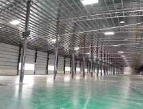 招租，北滘标准钢结构仓库，大小分租，超大空地，不拆迁。
