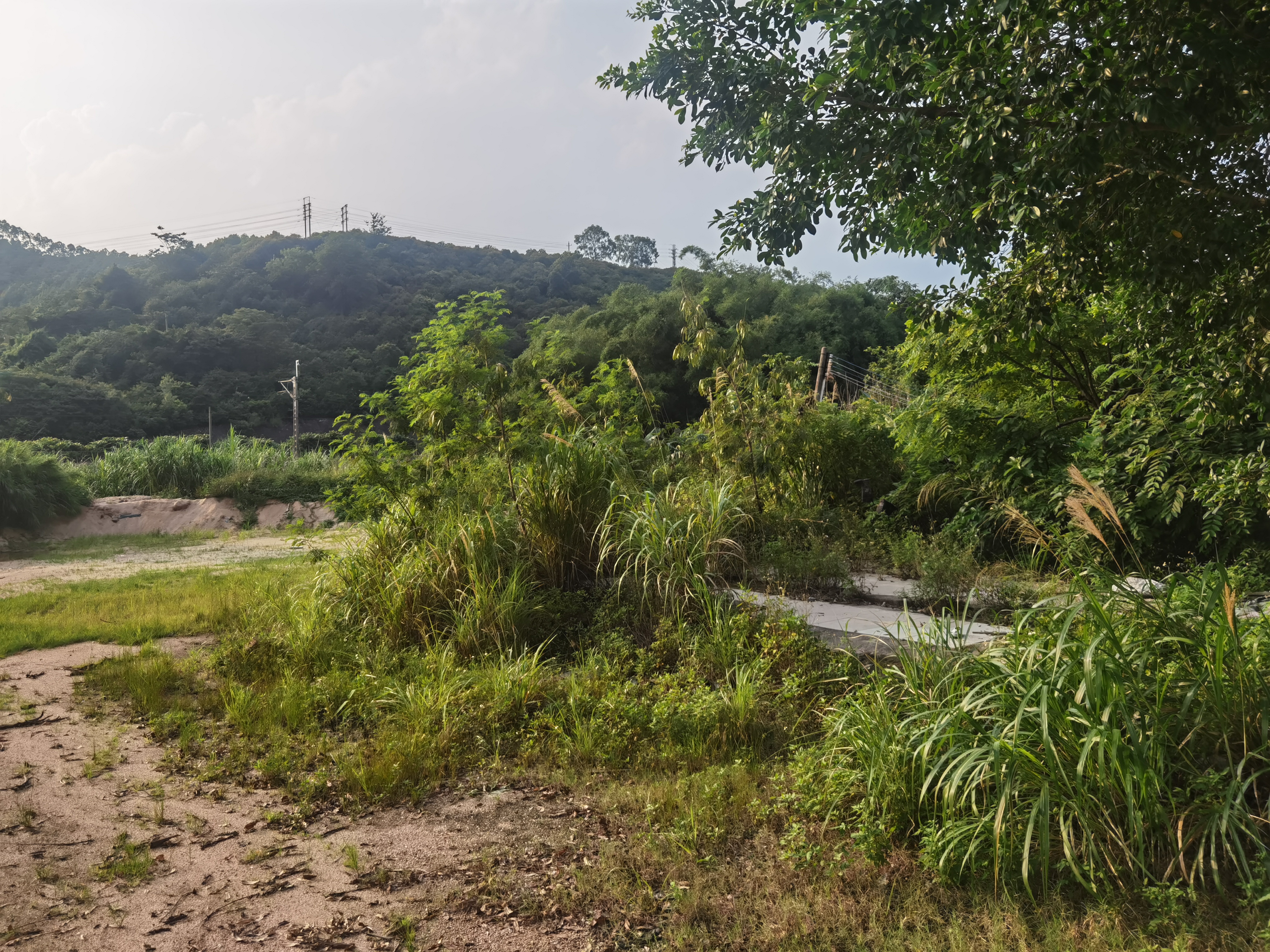 清远市清城区吉地出租1