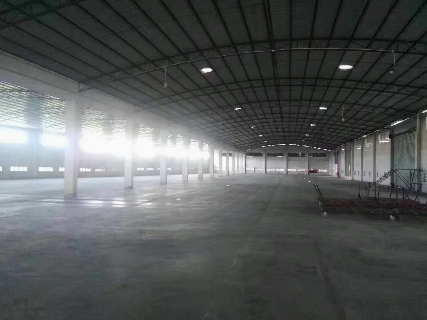 广州市新塘镇仙村5000平单一层，可堆放鱼粉，可生产，可仓库