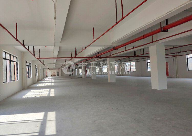 番禺市桥面积13000方全新标准厂房出售，厂房方正实用6