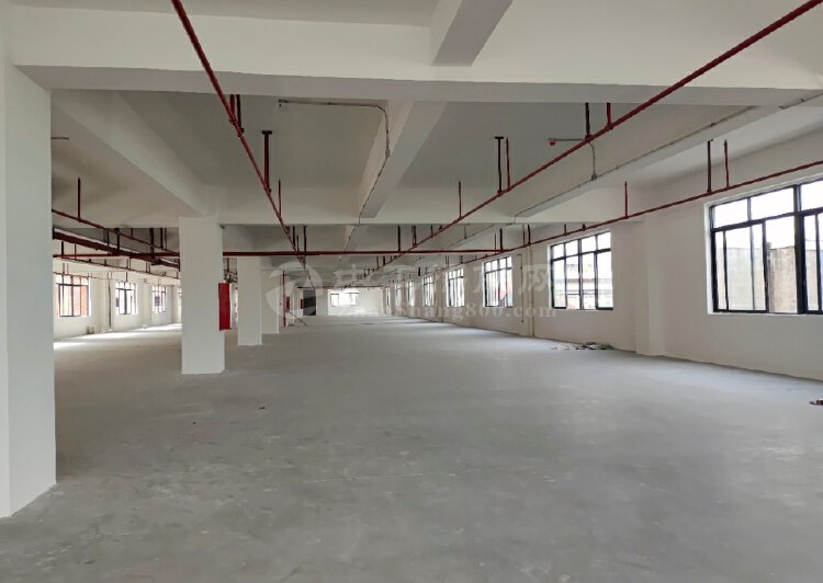 番禺市桥面积13000方全新标准厂房出售，厂房方正实用