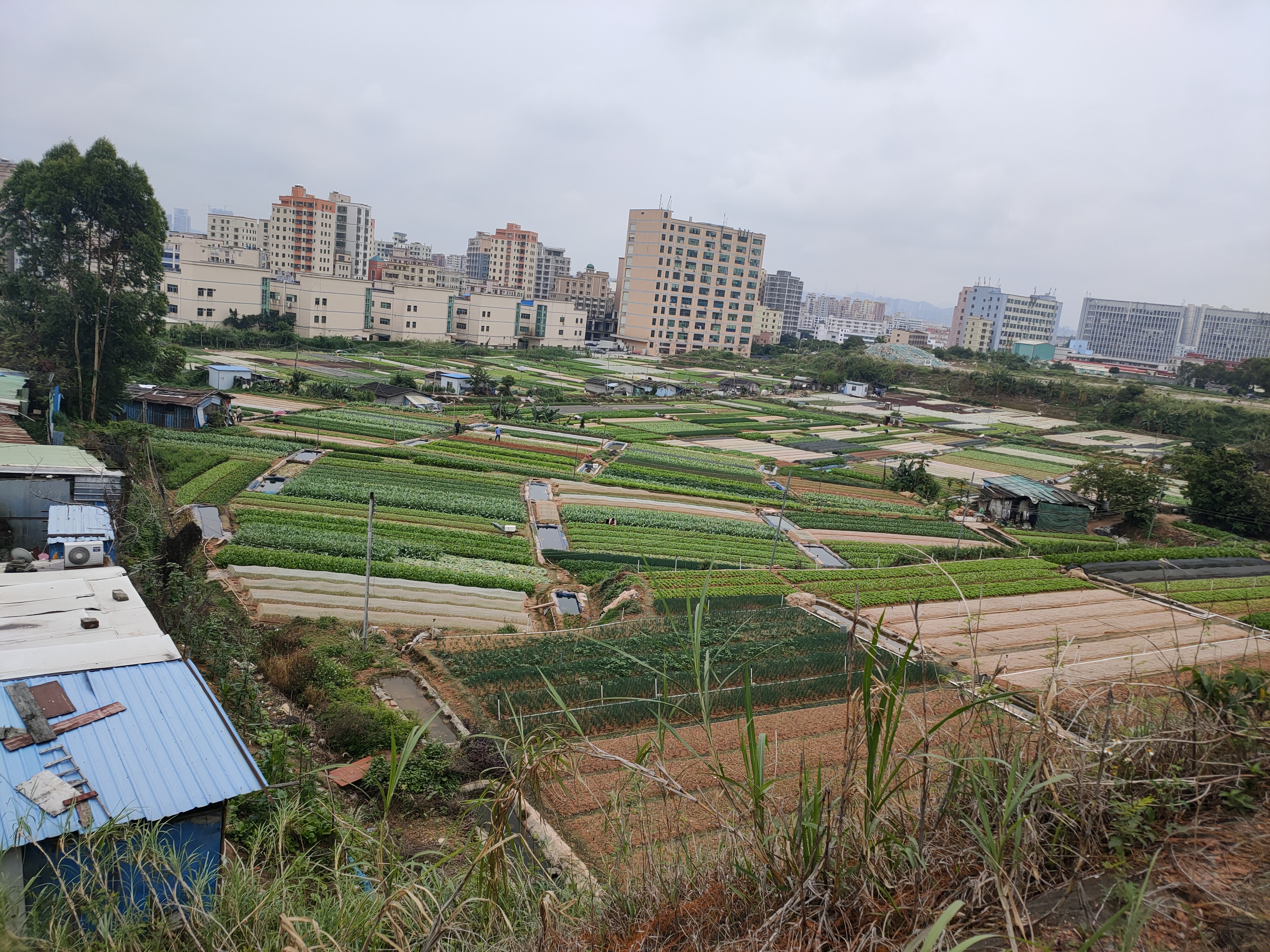 佛山南海区国有土地证厂房出售1