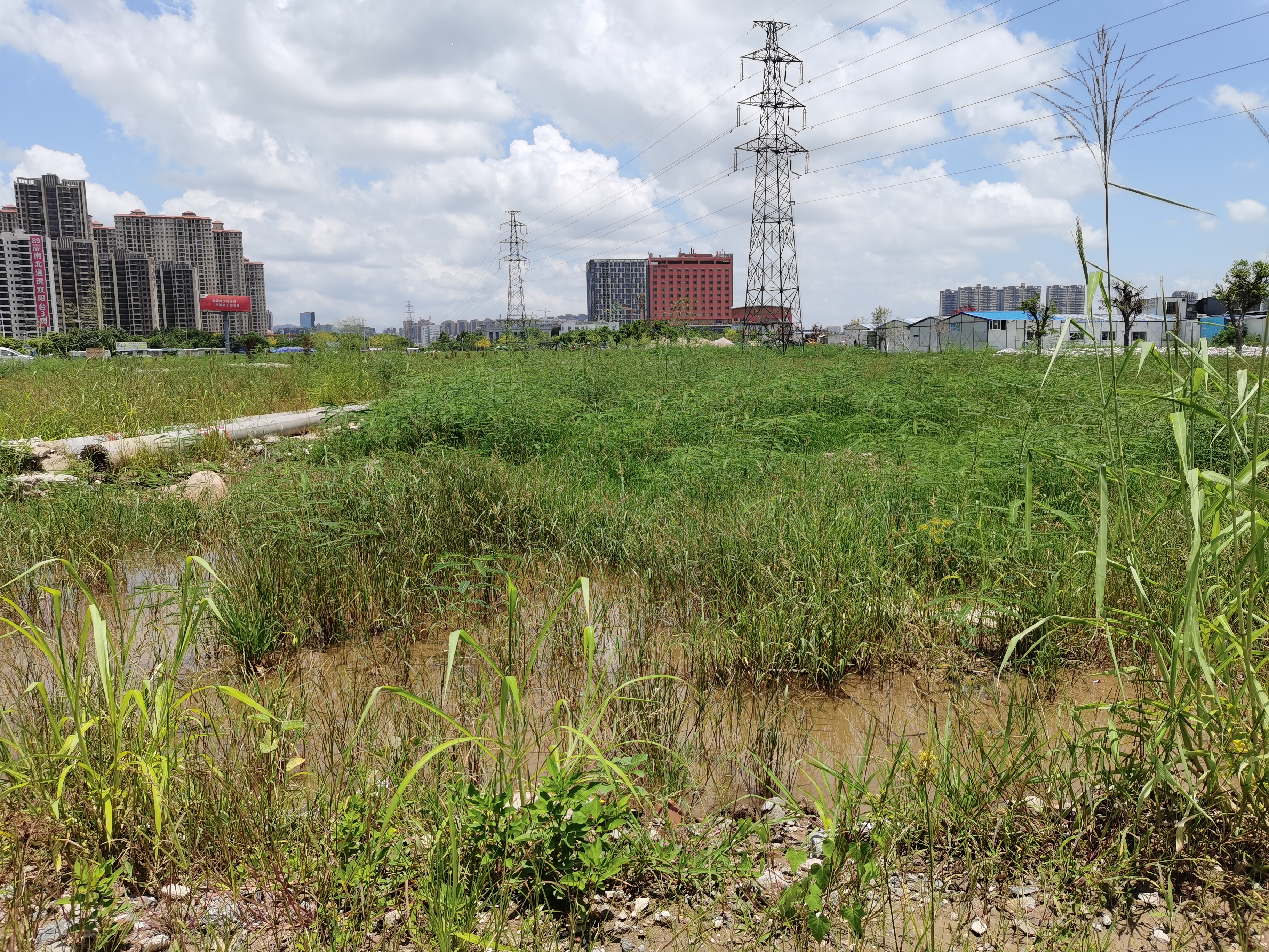 石岐60亩商住用地出租，可硬化4