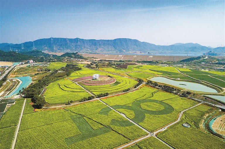 光明科学城红本研发厂房写字楼55万平出售，1000平起售6