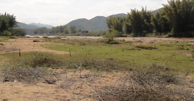 惠州惠阳淡水40亩空地出租集体性质位置较偏行业不限啥都能做1