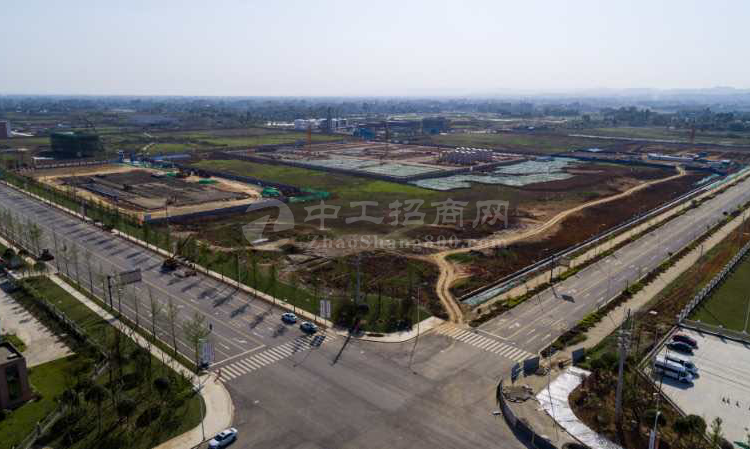 湖北武汉新洲工业用地86亩土工业用地30亩起卖手续齐全