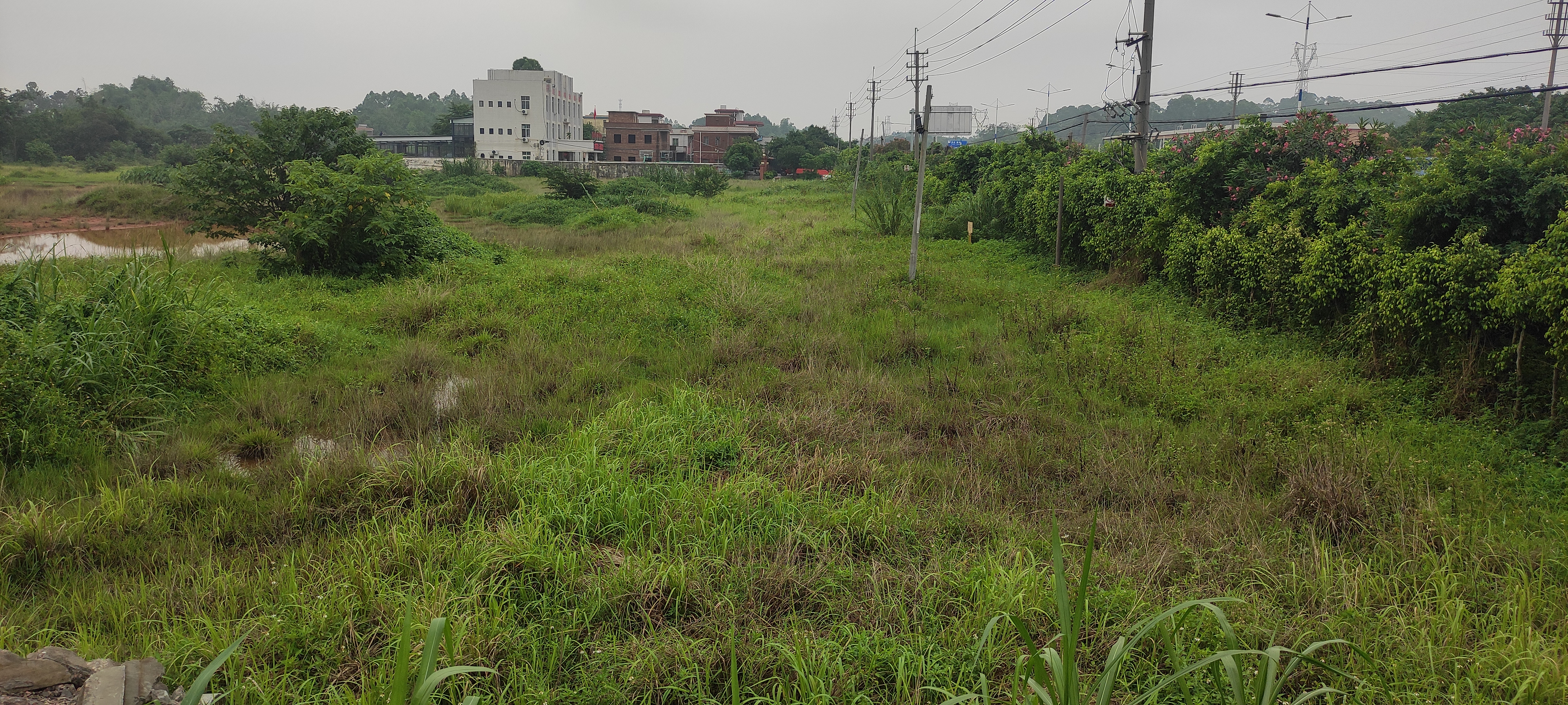 清城区石角镇红本地皮出租4