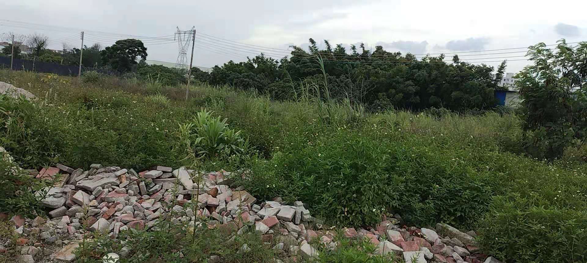 草庄东城东大面积空地出租3