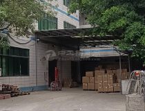 黄埔夏埔工业园新出800平标准厂房出租，交通便利，价格优惠
