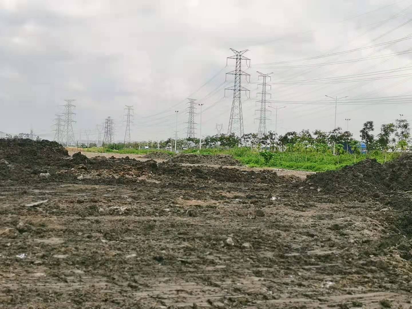 黄圃镇主干道一手房东证件齐全空地出租1